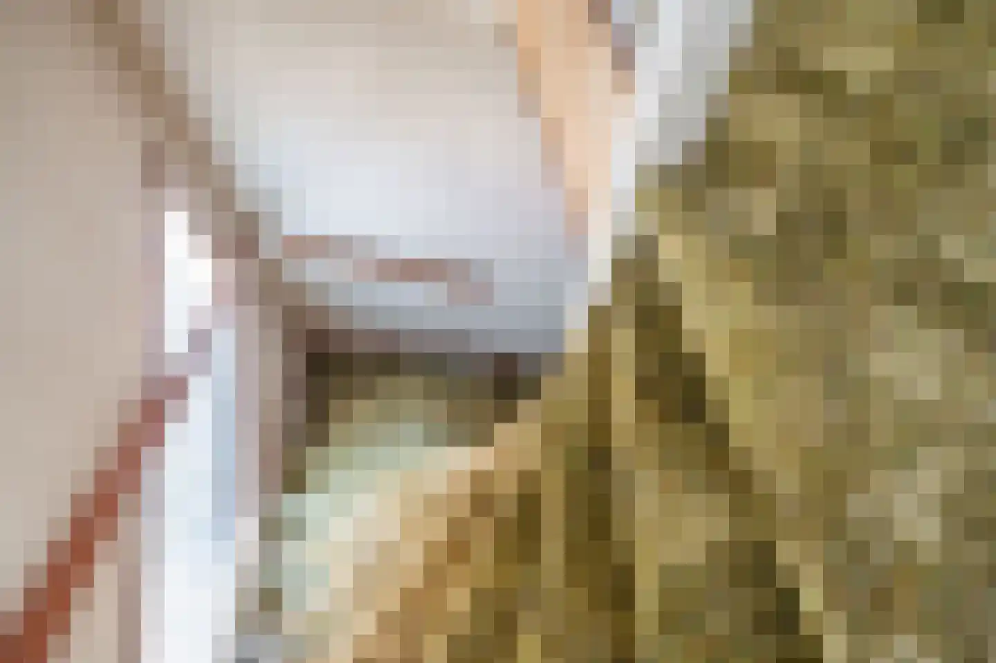 Loolaan 21 C Voorburg thumbnail 41