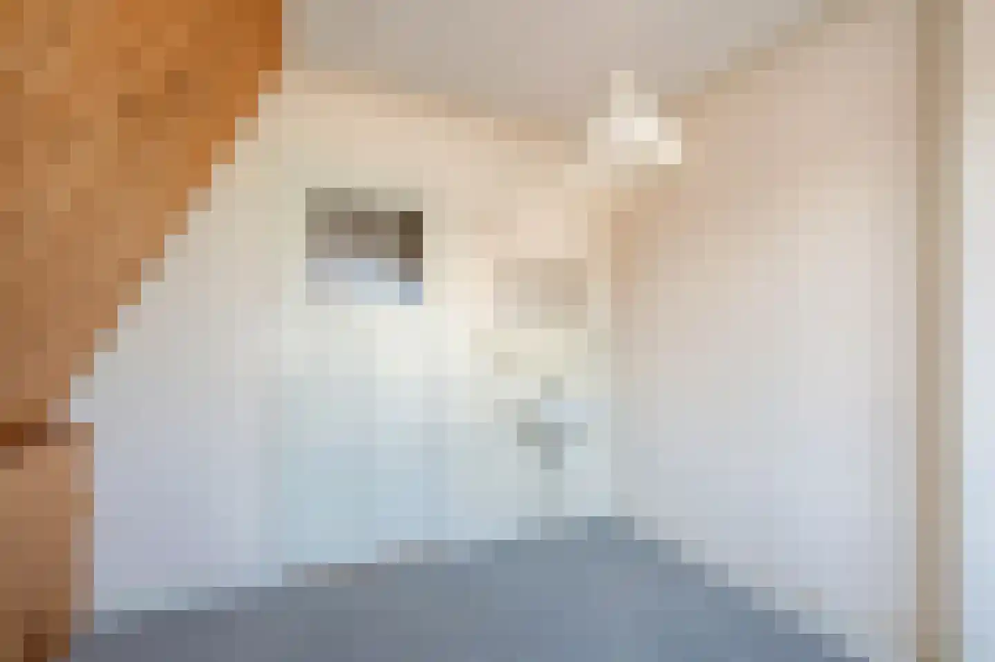 Loolaan 21 C Voorburg thumbnail 50
