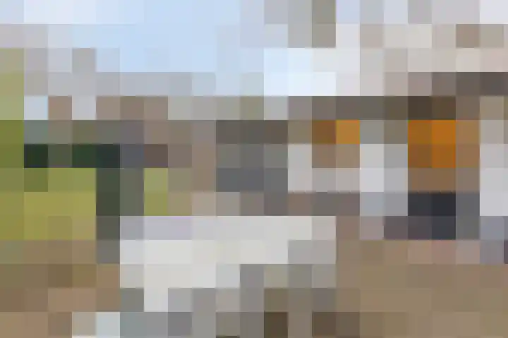 Loolaan 21 Doetinchem thumbnail 29
