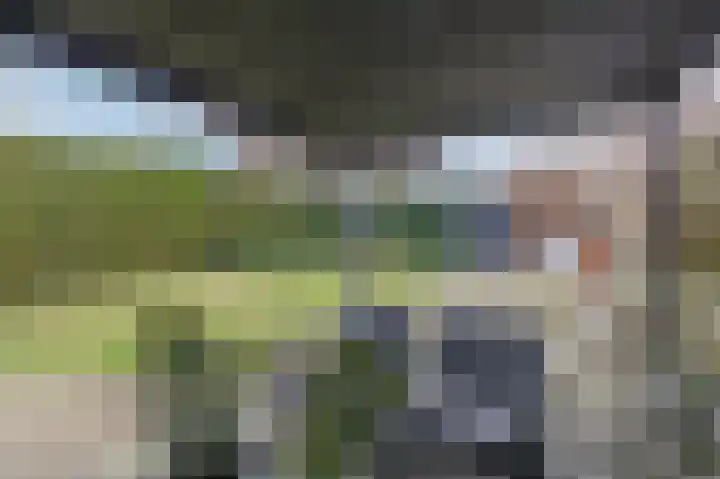 Loolaan 21 Doetinchem thumbnail 32