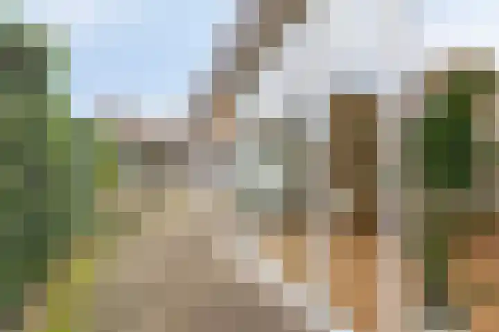 Loolaan 21 Doetinchem thumbnail 40