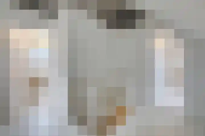 Loolaan 21 Doetinchem thumbnail 65