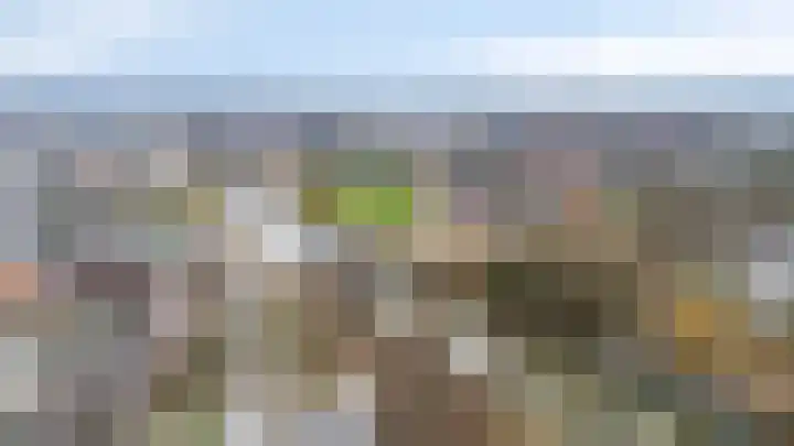 Loolaan 21 Doetinchem thumbnail 71