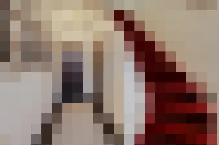 Loolaan 21 Doetinchem thumbnail 8