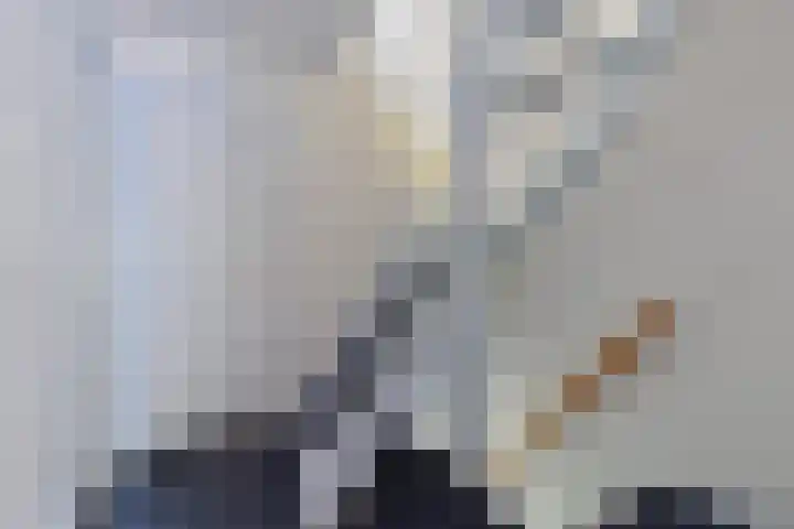 Loolaan 22 Halsteren thumbnail 19