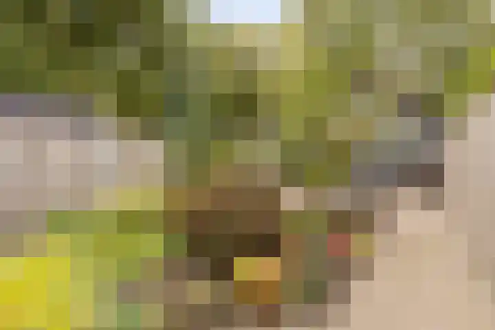 Loolaan 22 Halsteren thumbnail 25