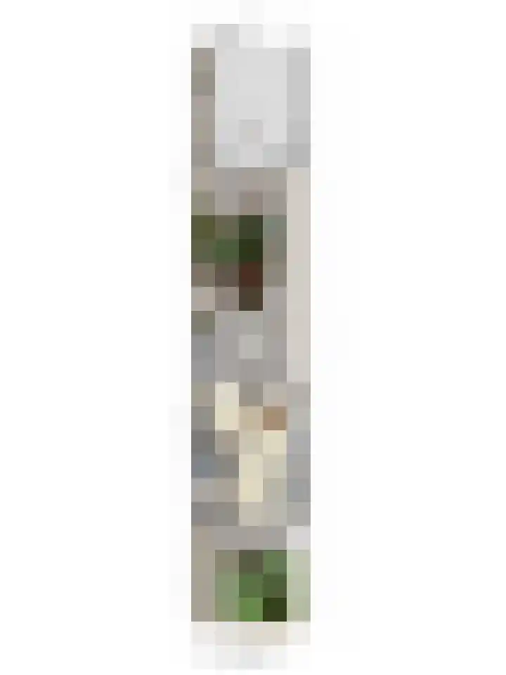 Loolaan 22 Halsteren thumbnail 32