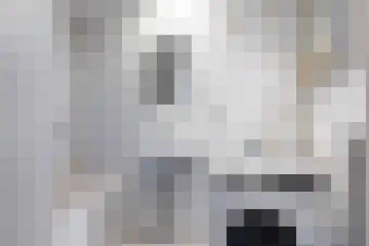 Loolaan 27 105 Apeldoorn thumbnail 15