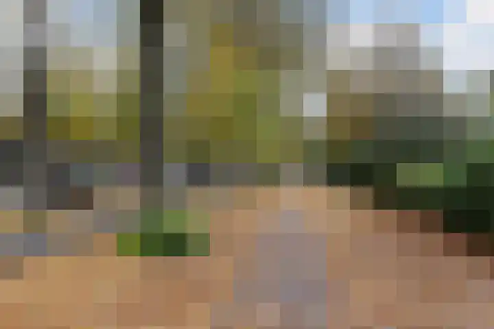 Loolaan 27 105 Apeldoorn thumbnail 29