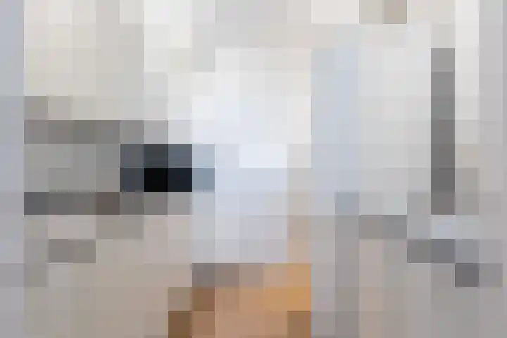 Loolaan 27 105 Apeldoorn thumbnail 9