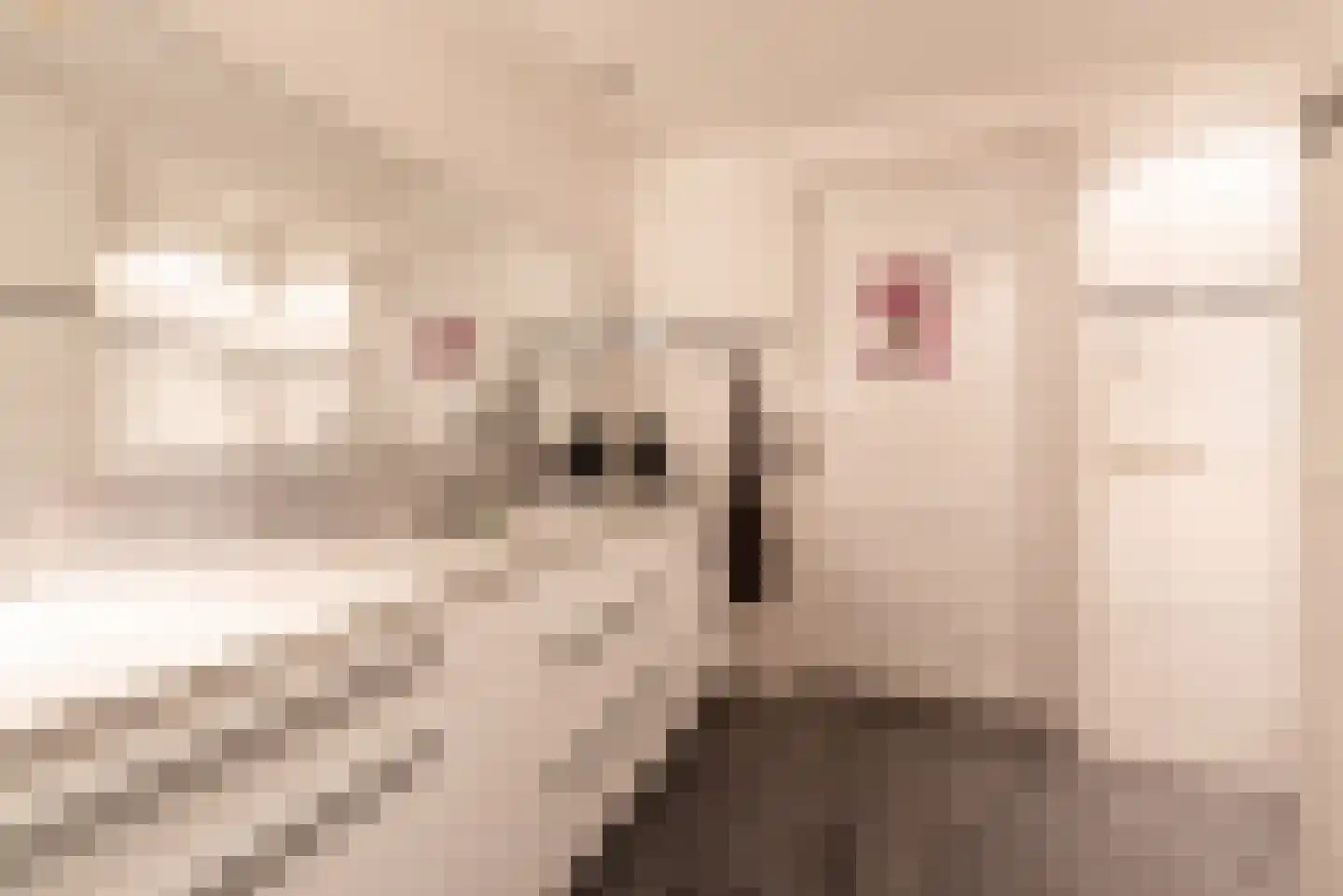 Loolaan 27 111 Apeldoorn thumbnail 25