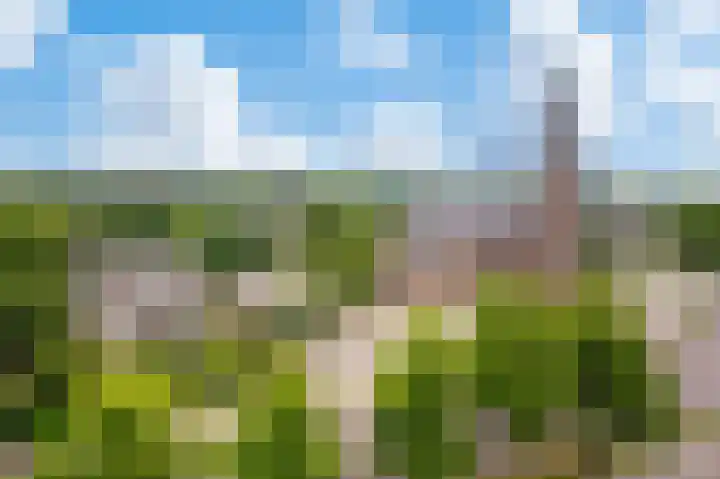 Loolaan 27 128 Apeldoorn thumbnail 20