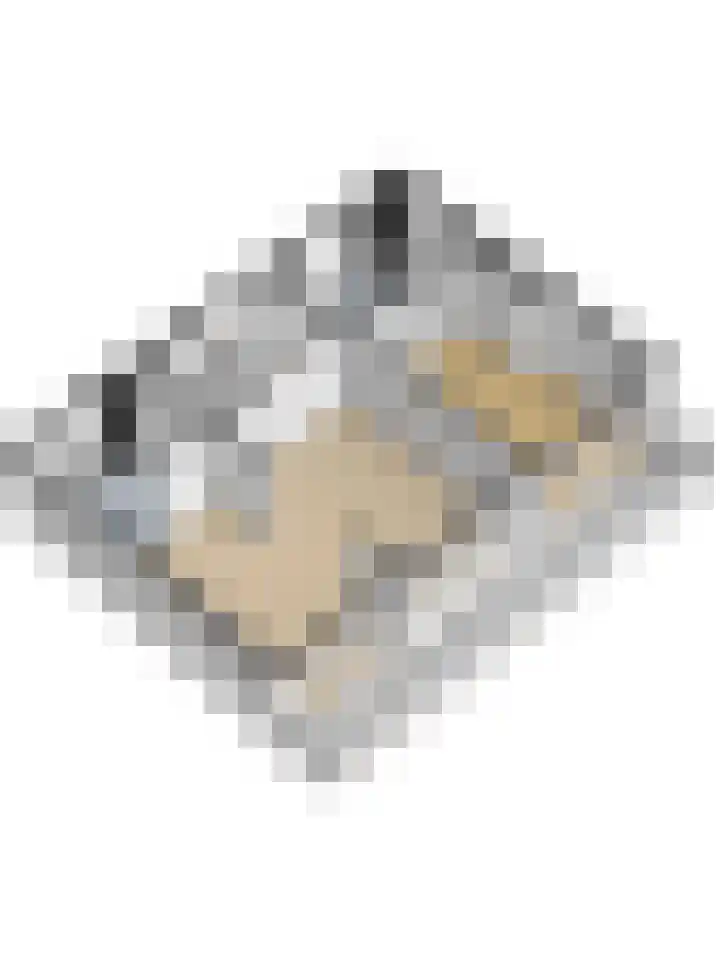 Loolaan 27 128 Apeldoorn thumbnail 27
