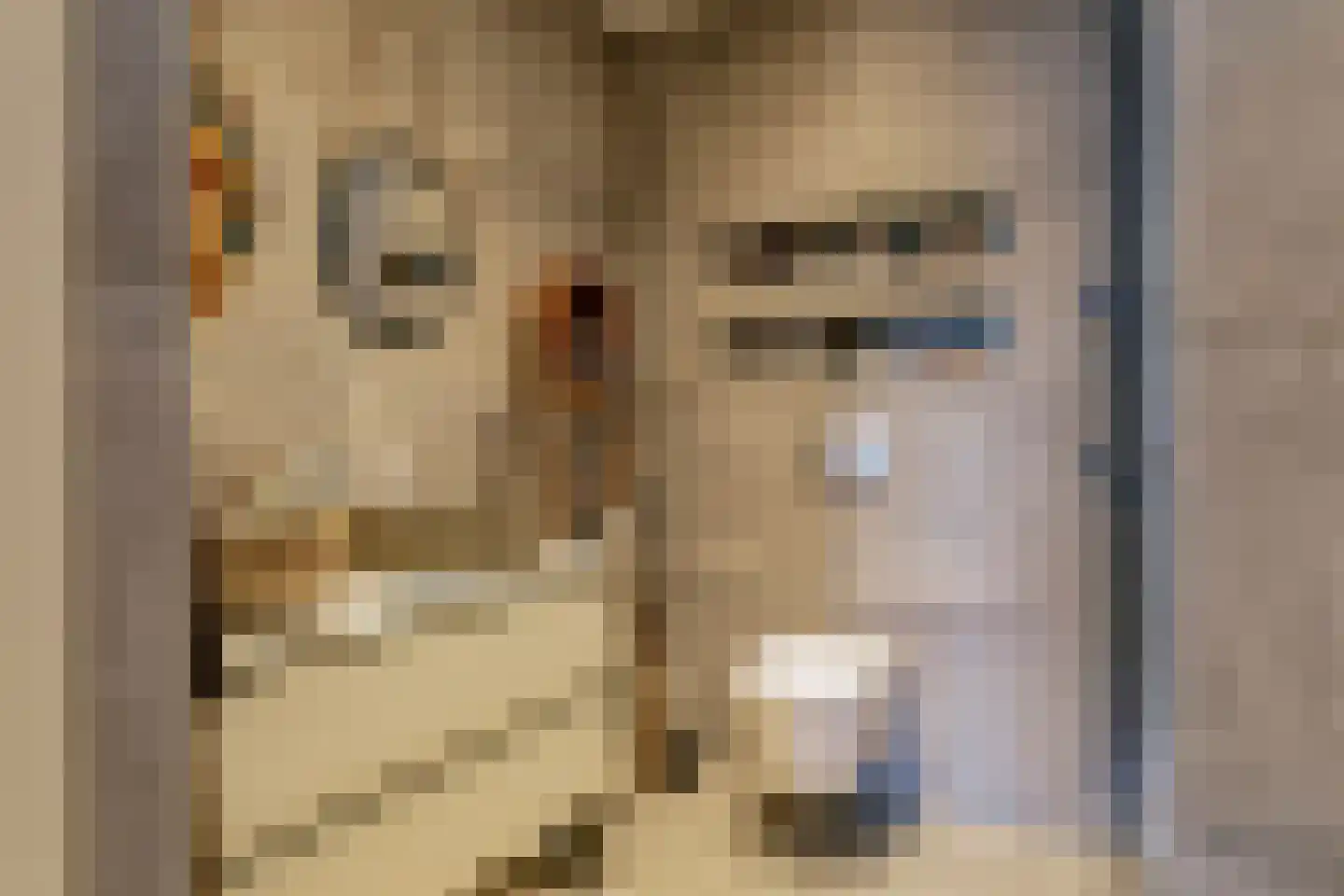 Loolaan 27 131 Apeldoorn thumbnail 16