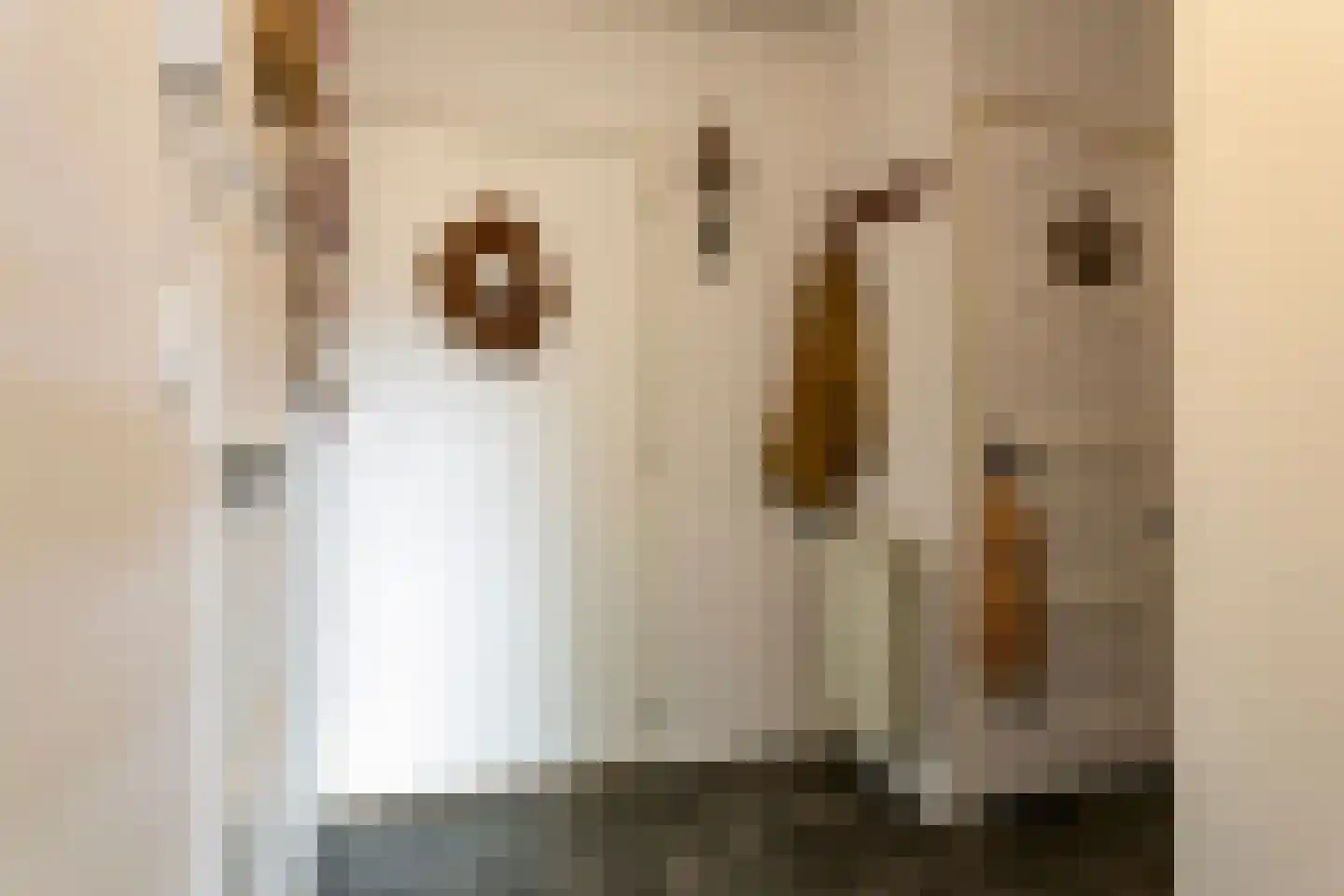 Loolaan 27 131 Apeldoorn thumbnail 20