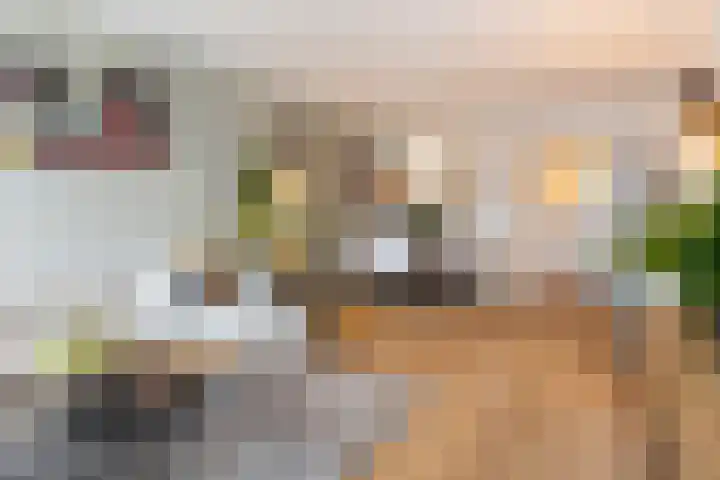 Loolaan 27 21 Apeldoorn thumbnail 10