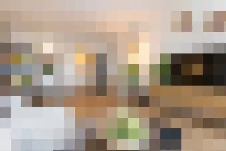 Loolaan 27 21 Apeldoorn thumbnail 11