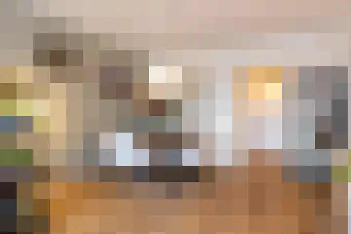 Loolaan 27 21 Apeldoorn thumbnail 12
