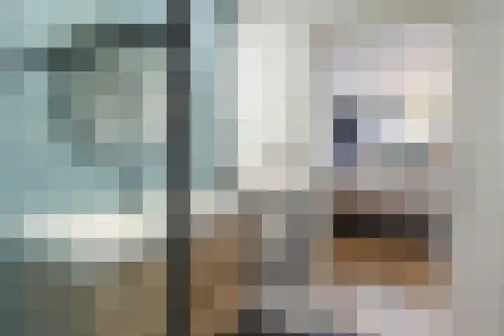 Loolaan 27 21 Apeldoorn thumbnail 15