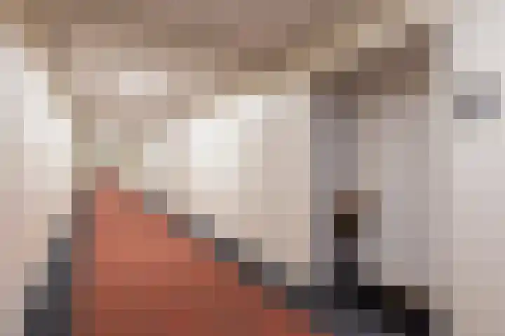 Loolaan 27 21 Apeldoorn thumbnail 23