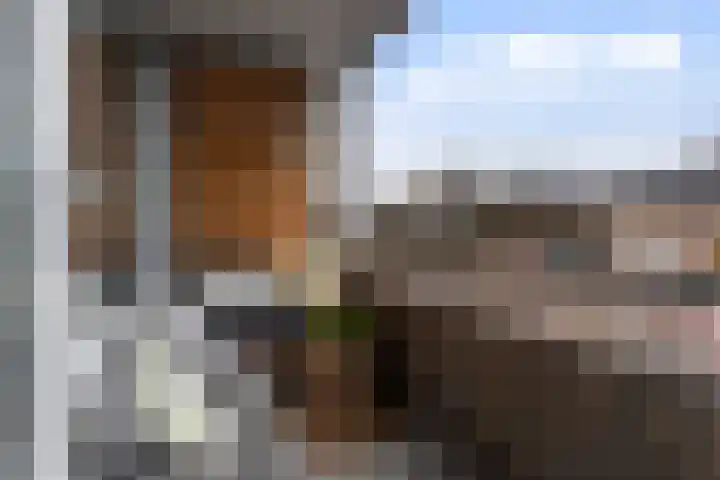 Loolaan 27 21 Apeldoorn thumbnail 4