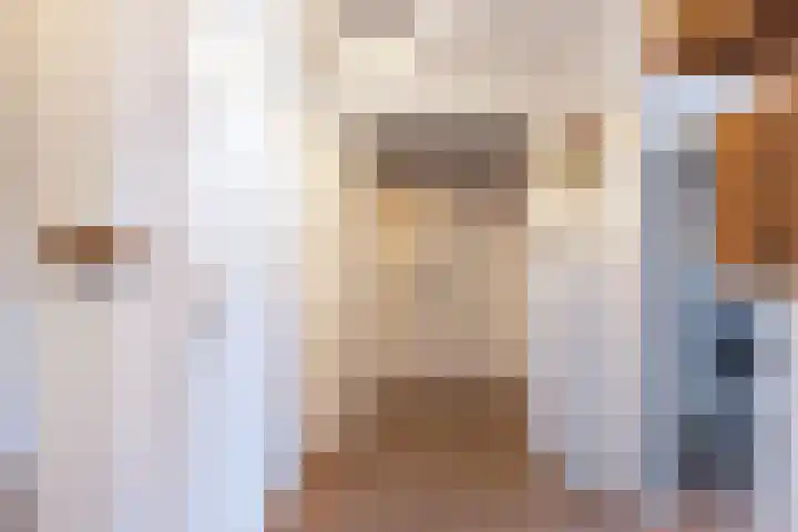 Loolaan 27 21 Apeldoorn thumbnail 6