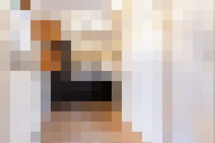 Loolaan 27 21 Apeldoorn thumbnail 8