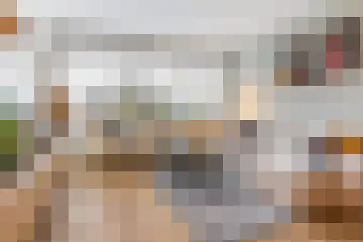 Loolaan 27 21 Apeldoorn thumbnail 9