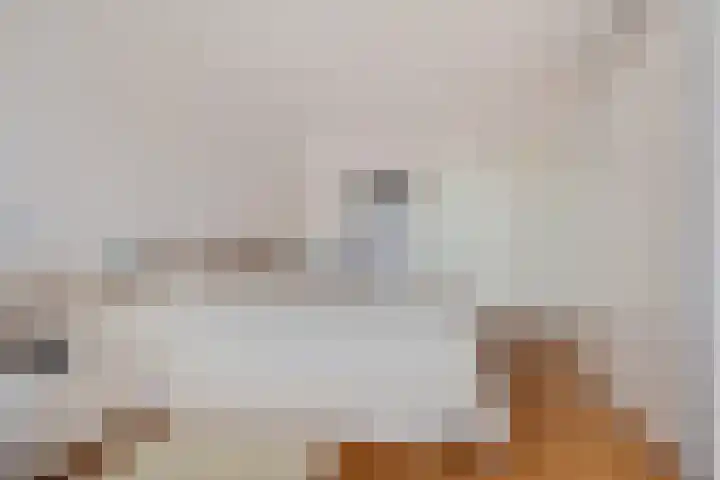 Loolaan 27 43 Apeldoorn thumbnail 19