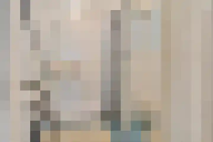 Loolaan 27 43 Apeldoorn thumbnail 21