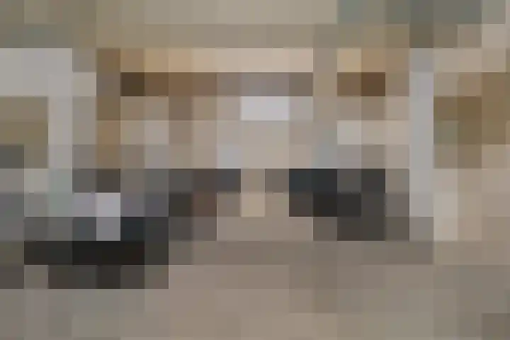 Loolaan 27 43 Apeldoorn thumbnail 33
