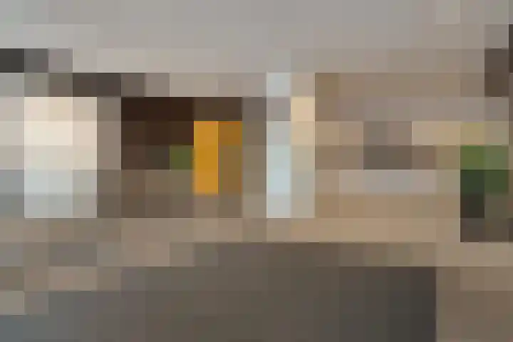 Loolaan 27 43 Apeldoorn thumbnail 5
