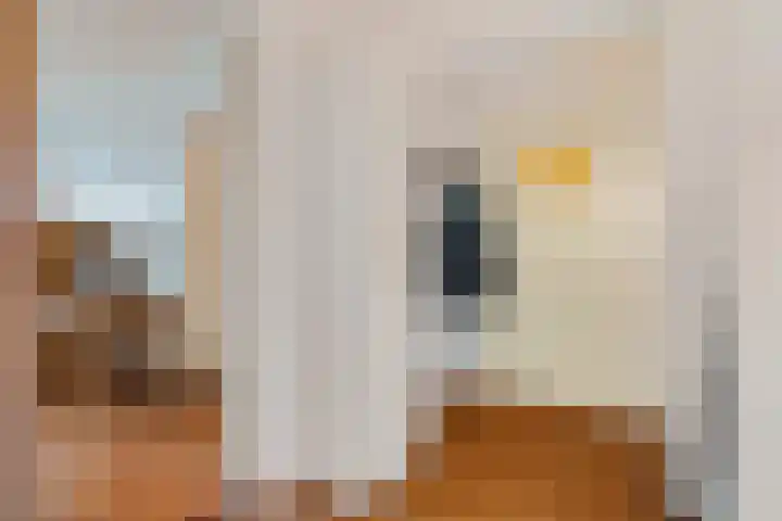 Loolaan 27 43 Apeldoorn thumbnail 9