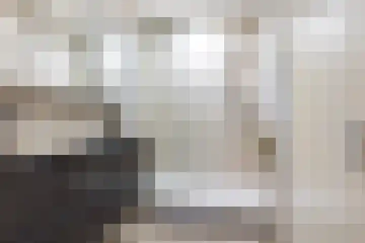 Loolaan 27 51 Apeldoorn thumbnail 13