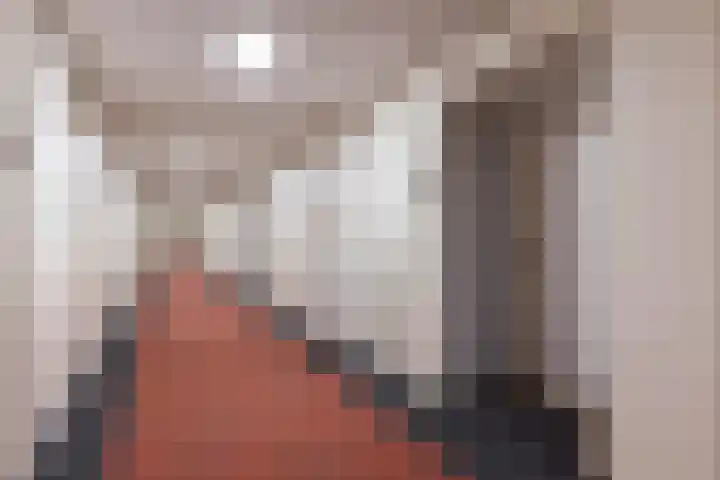 Loolaan 27 51 Apeldoorn thumbnail 19