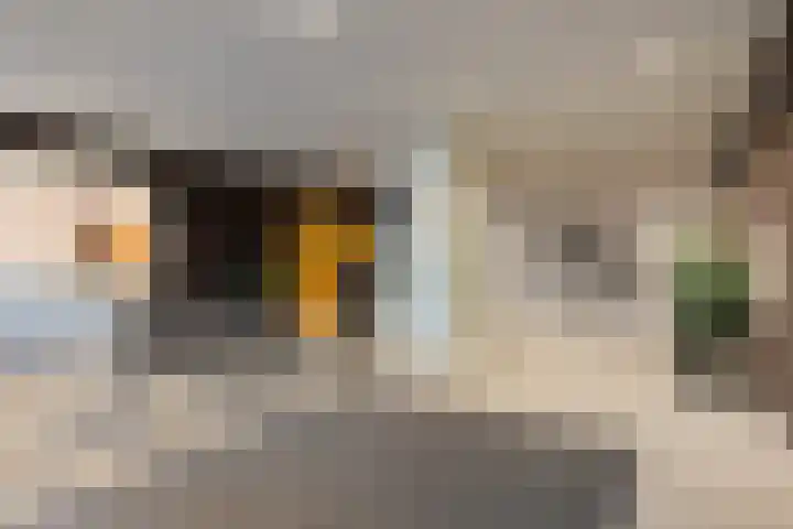 Loolaan 27 51 Apeldoorn thumbnail 21