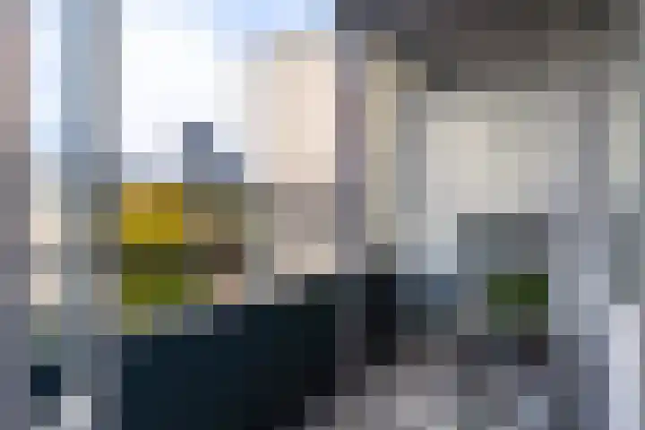 Loolaan 27 55 Apeldoorn thumbnail 14