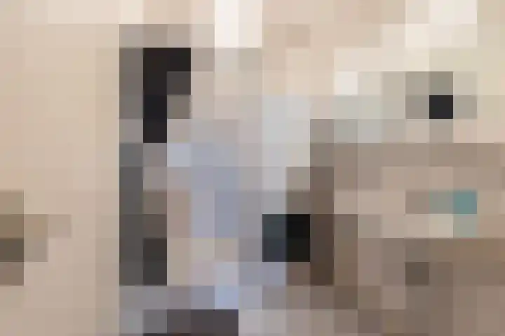 Loolaan 27 55 Apeldoorn thumbnail 20
