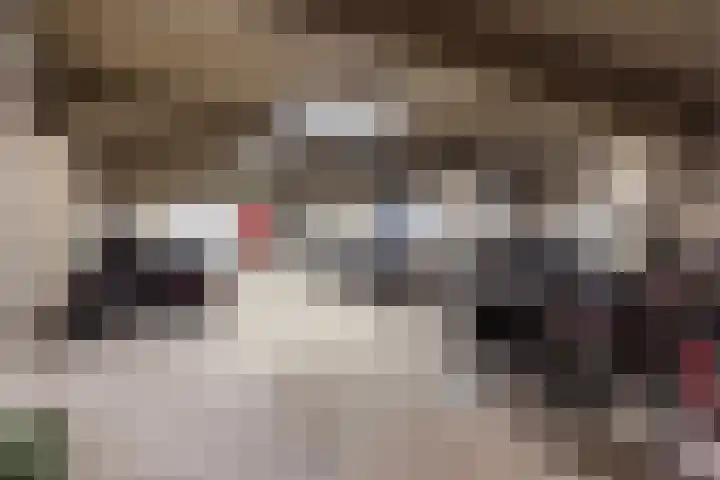 Loolaan 27 55 Apeldoorn thumbnail 21