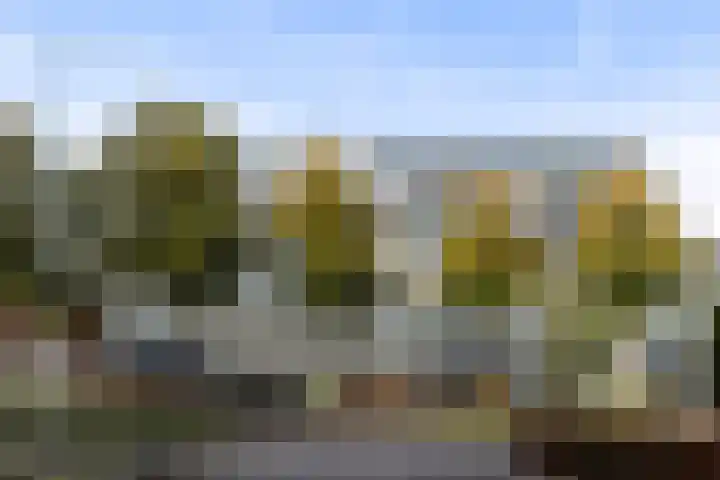 Loolaan 27 55 Apeldoorn thumbnail 22
