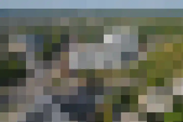 Loolaan 27 55 Apeldoorn thumbnail 24