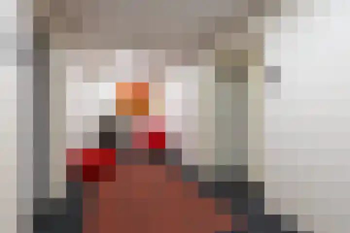 Loolaan 27 55 Apeldoorn thumbnail 7