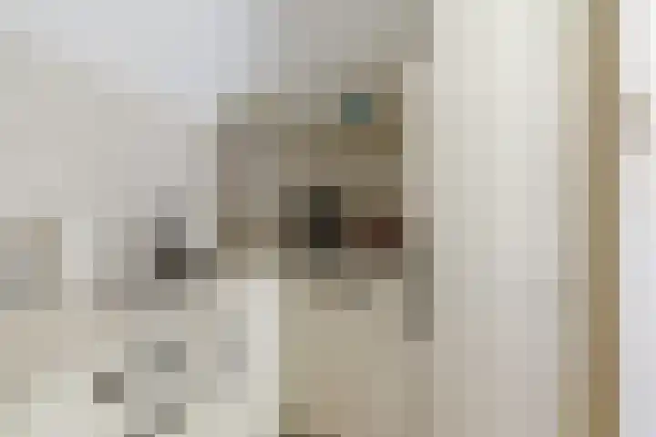 Loolaan 27 6 Apeldoorn thumbnail 18