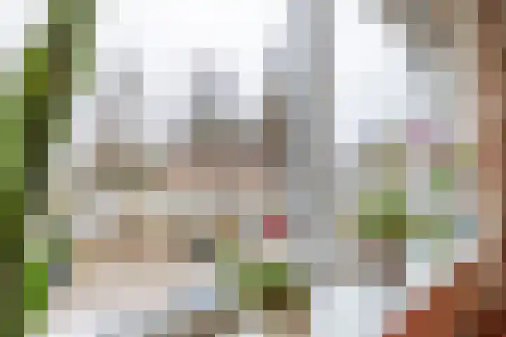 Loolaan 27 6 Apeldoorn thumbnail 7