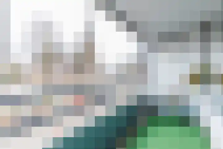 Loolaan 27 6 Apeldoorn thumbnail 9