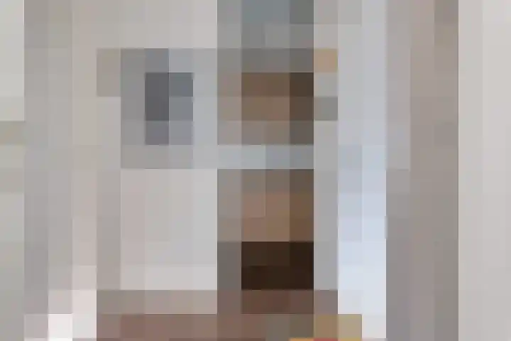 Loolaan 27 69 Apeldoorn thumbnail 12