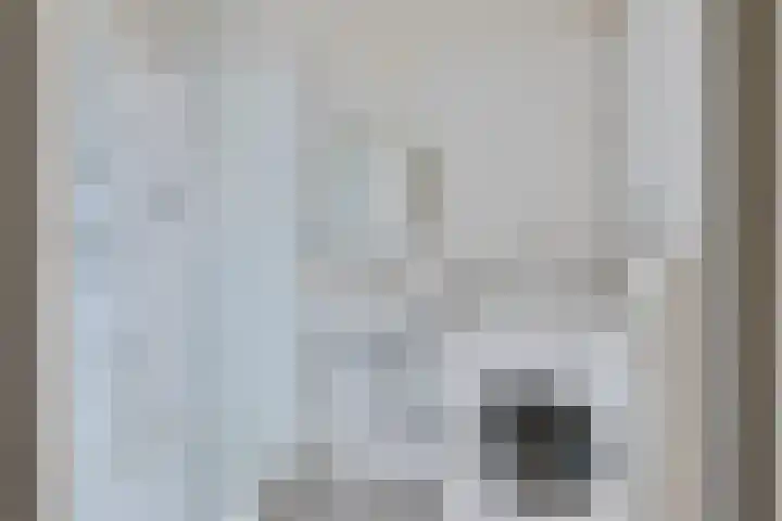 Loolaan 27 69 Apeldoorn thumbnail 21