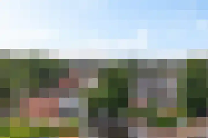 Loolaan 27 69 Apeldoorn thumbnail 7