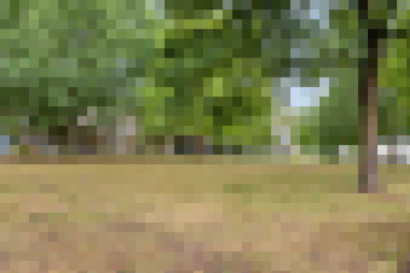 Loolaan 27 7 Apeldoorn thumbnail 18
