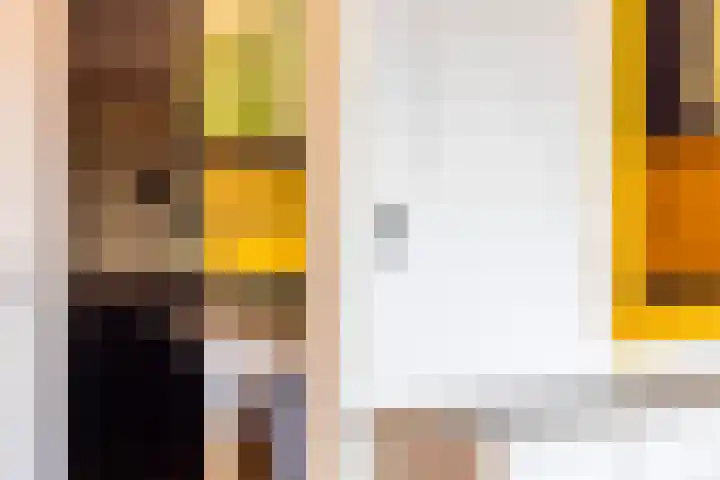 Loolaan 27 75 Apeldoorn thumbnail 10